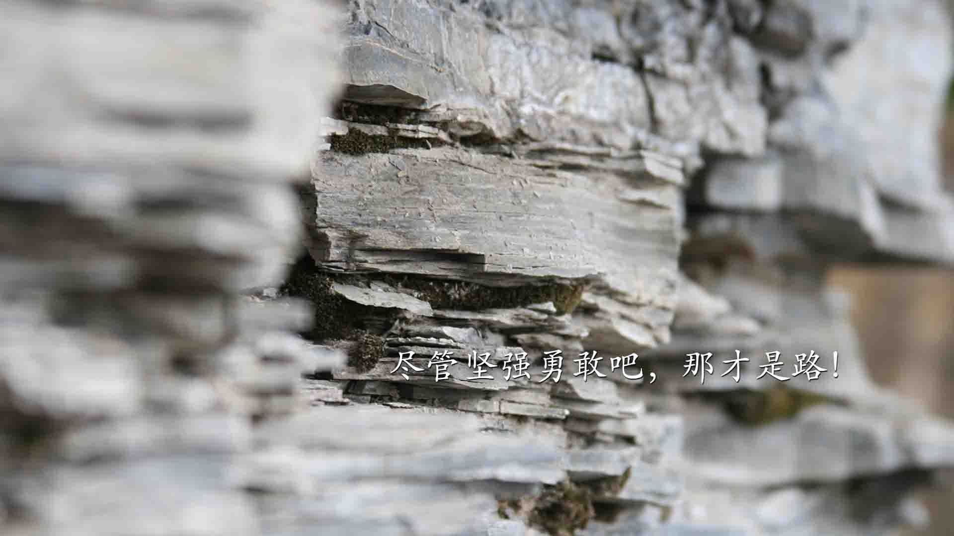 开云中国大陆-史上最大“黑马荣耀”：从无名小将到巨星巅峰，最大的黑马
