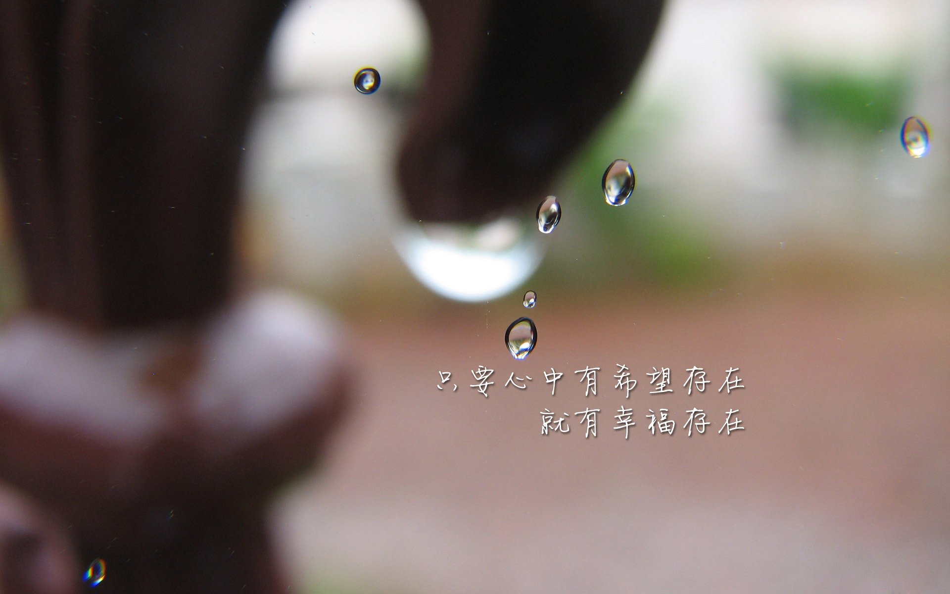 KAIYUN 中国大陆-特色足球产业联盟在全国多地点成立，推动行业链深度融合，全国足球特色园系统平台