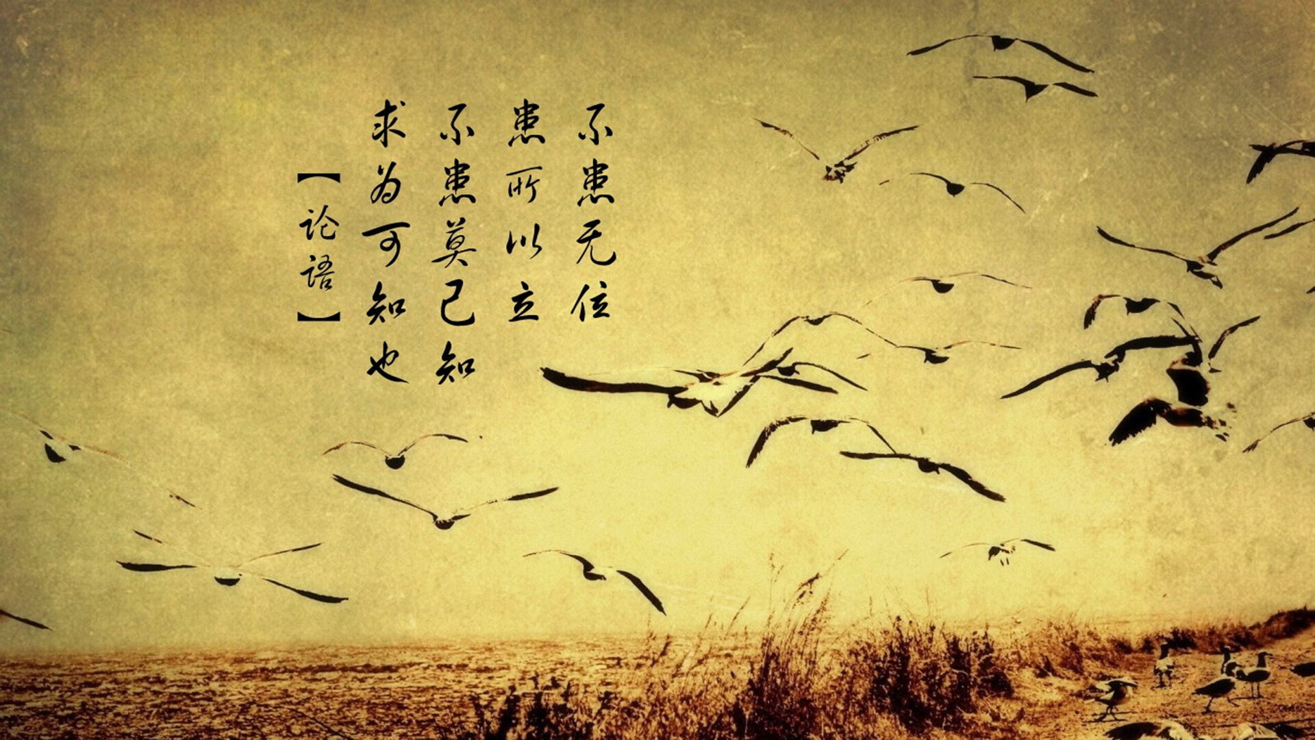 开云官方-俄罗斯主场击败斯洛文尼亚，实力有增，俄罗斯对斯洛文尼亚比赛结果