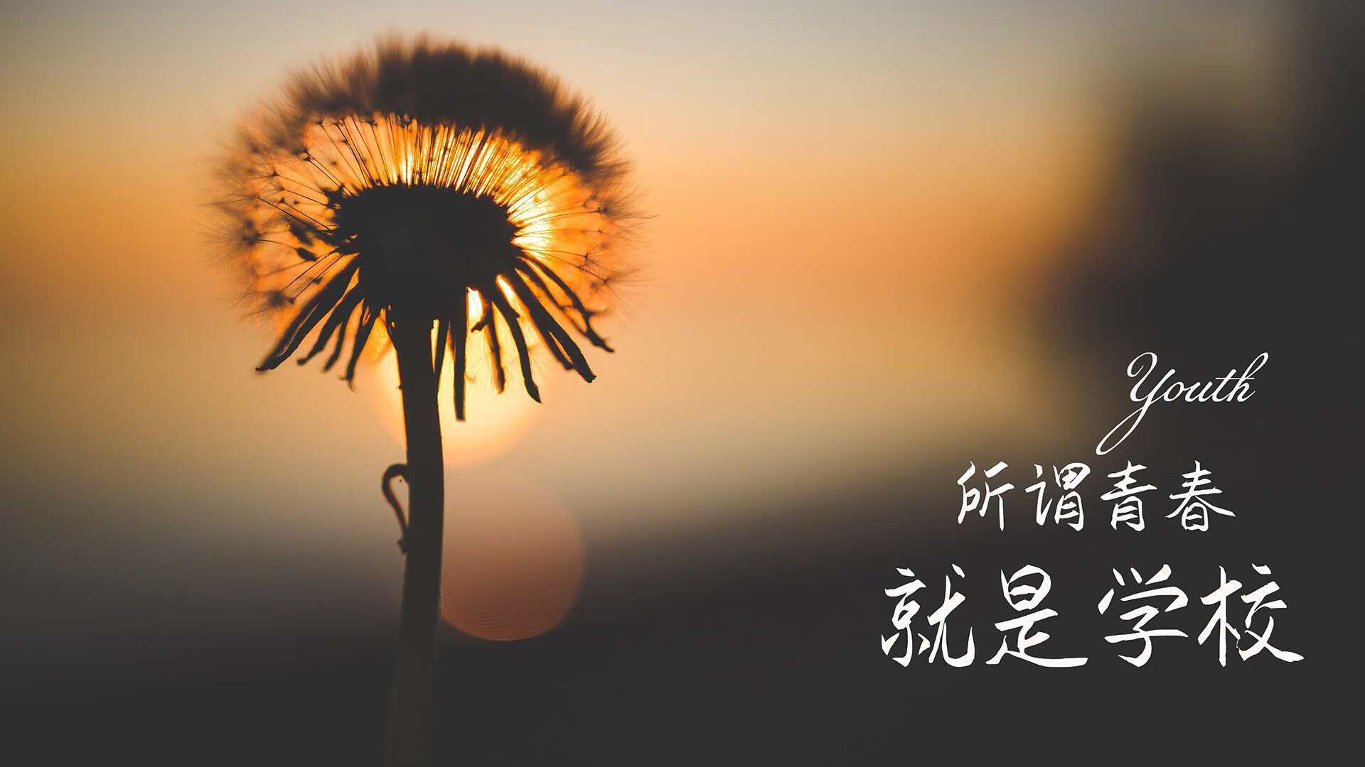 开云官方网页登录-墨西哥队突围成功，展现出色实力，墨西哥联赛传统强队