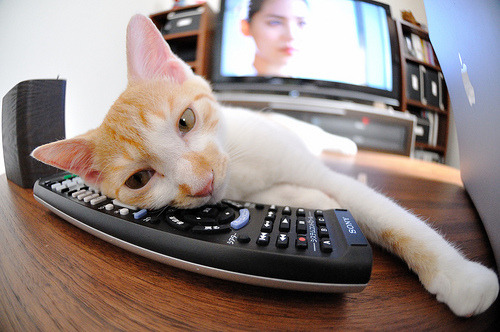 2024国际乒联混合团体世界杯新规发布，2022国际乒联