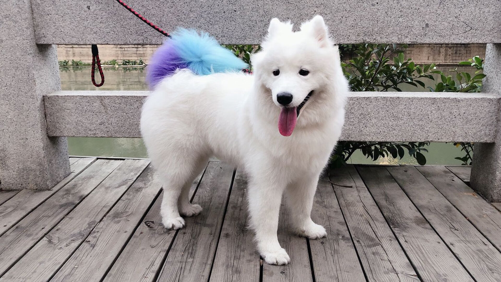 KPL明星选手连续登场状态火热引发热议，kpl明星阵容