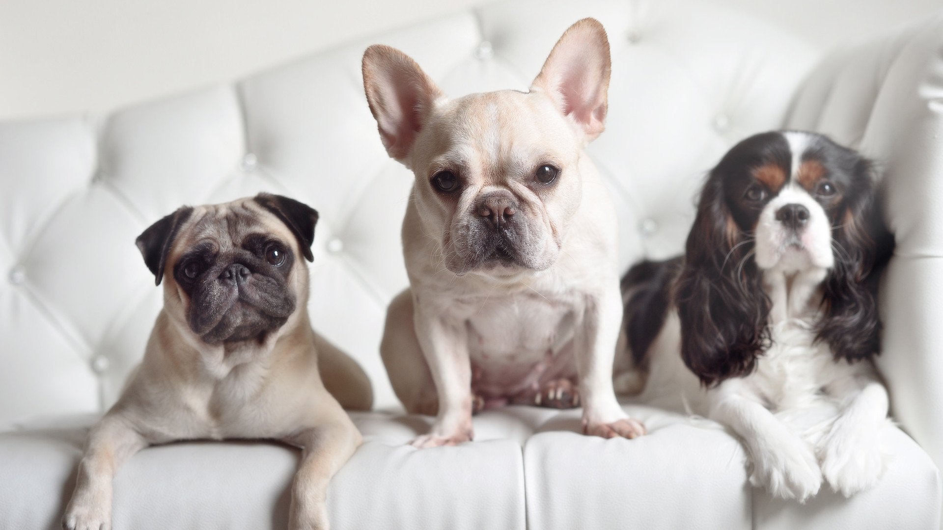 “滚球运动：成都三叉湖赛场引爆运动热潮”