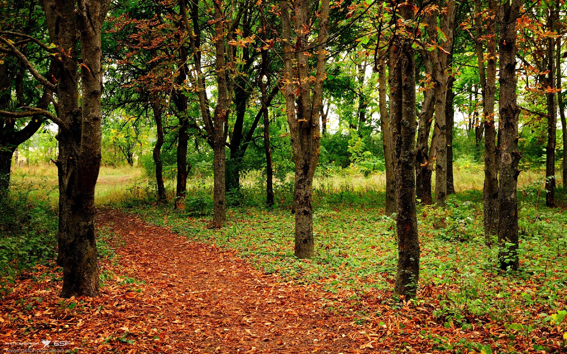 中国女篮保持高压防守形成压制态势,中国女篮保持高压防守形成压制态势的是谁