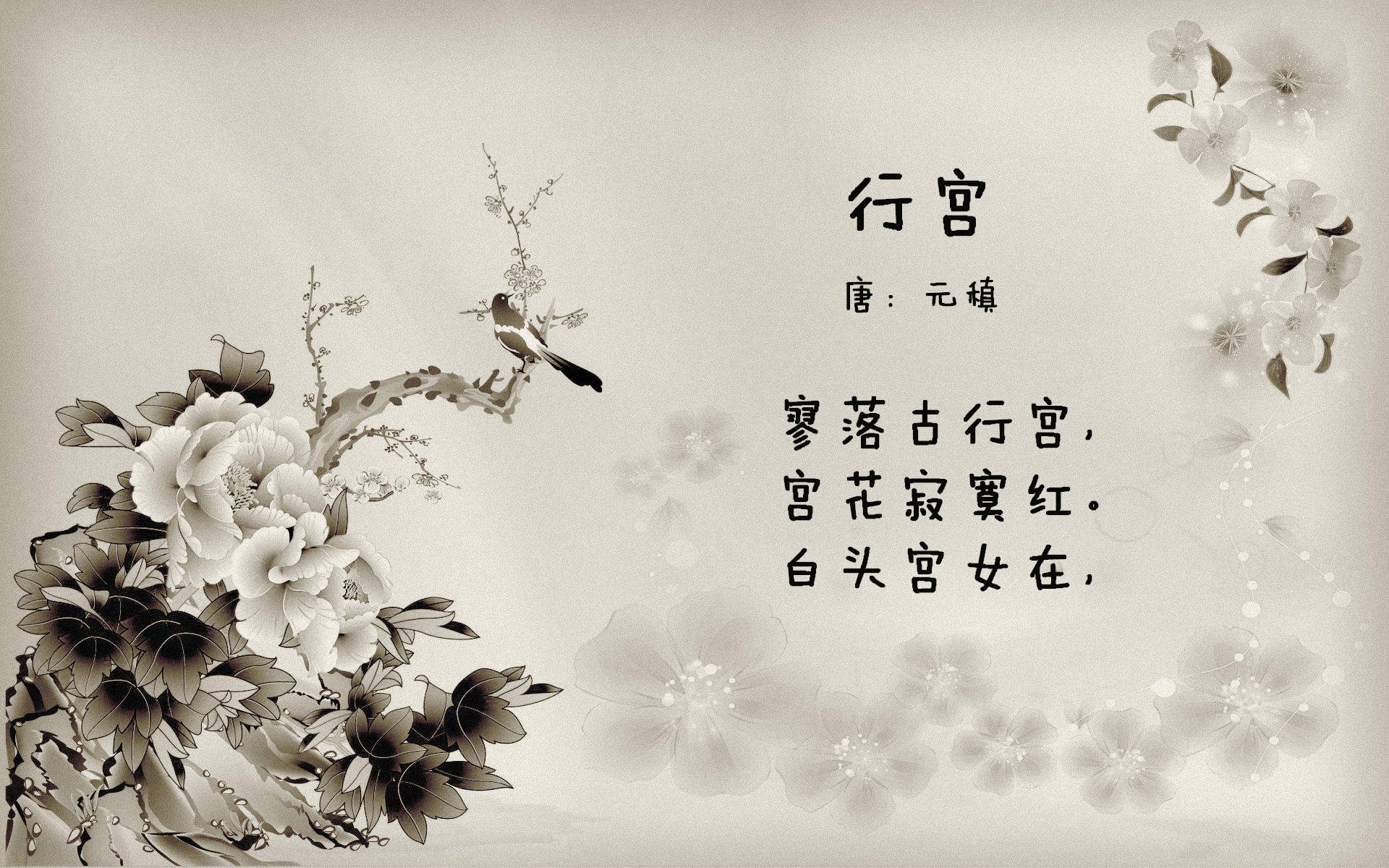 奥运帆船中国队重点演练复杂风浪条件下技战术，中国帆船奥运冠军