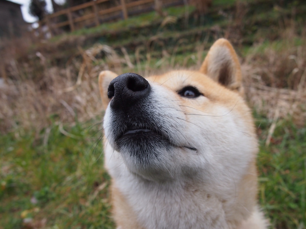 kaiyun体育app-球队计划重塑边路体系，提升转换速度，足球边路进攻的阵型