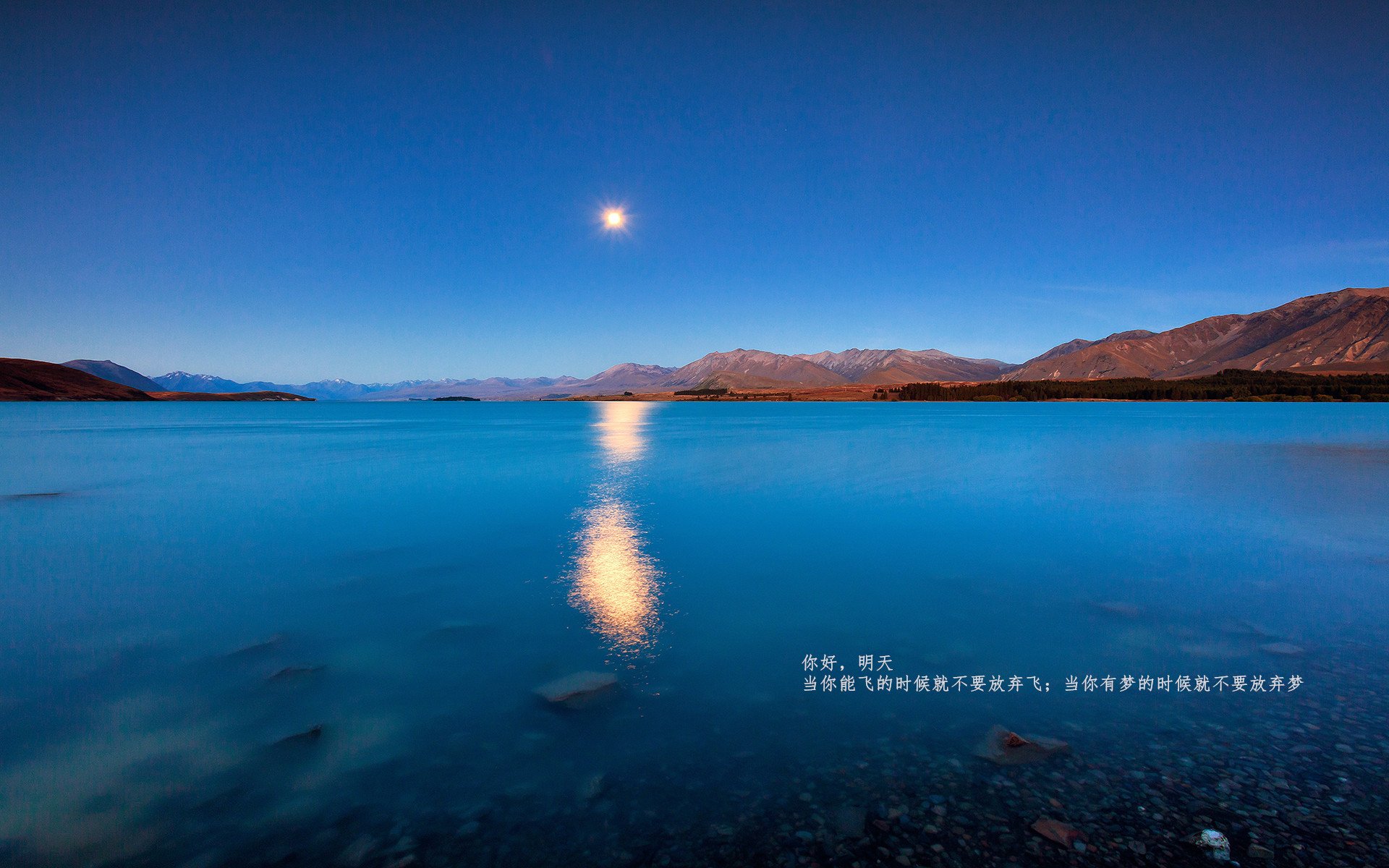 网球黄金组合重返赛场 再度冲击大满贯，网球gold