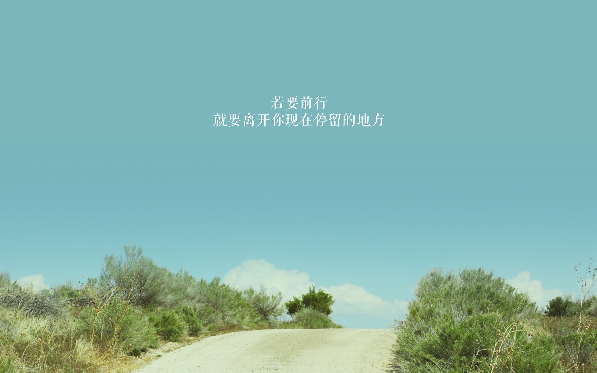 “安赫尔·巴尔博萨的攻守兼备与快节奏突破，成就美洲狮队的制胜利器”