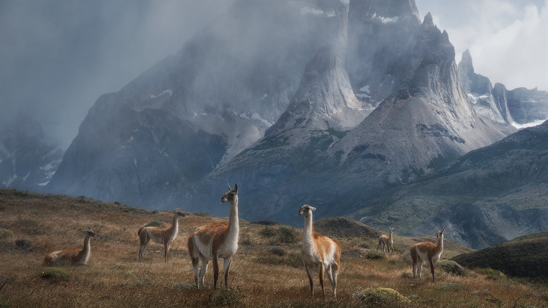 体育新闻中心更新国家队比赛服装图鉴及合作品牌名录，2021国家队服装