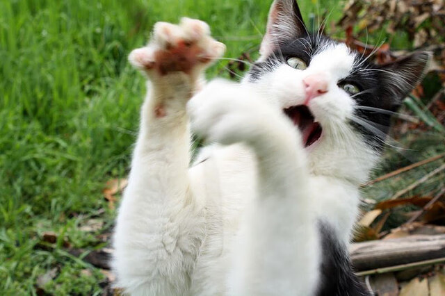 体育新闻中心更新国家队比赛服装图鉴及合作品牌名录，2021国家队服装