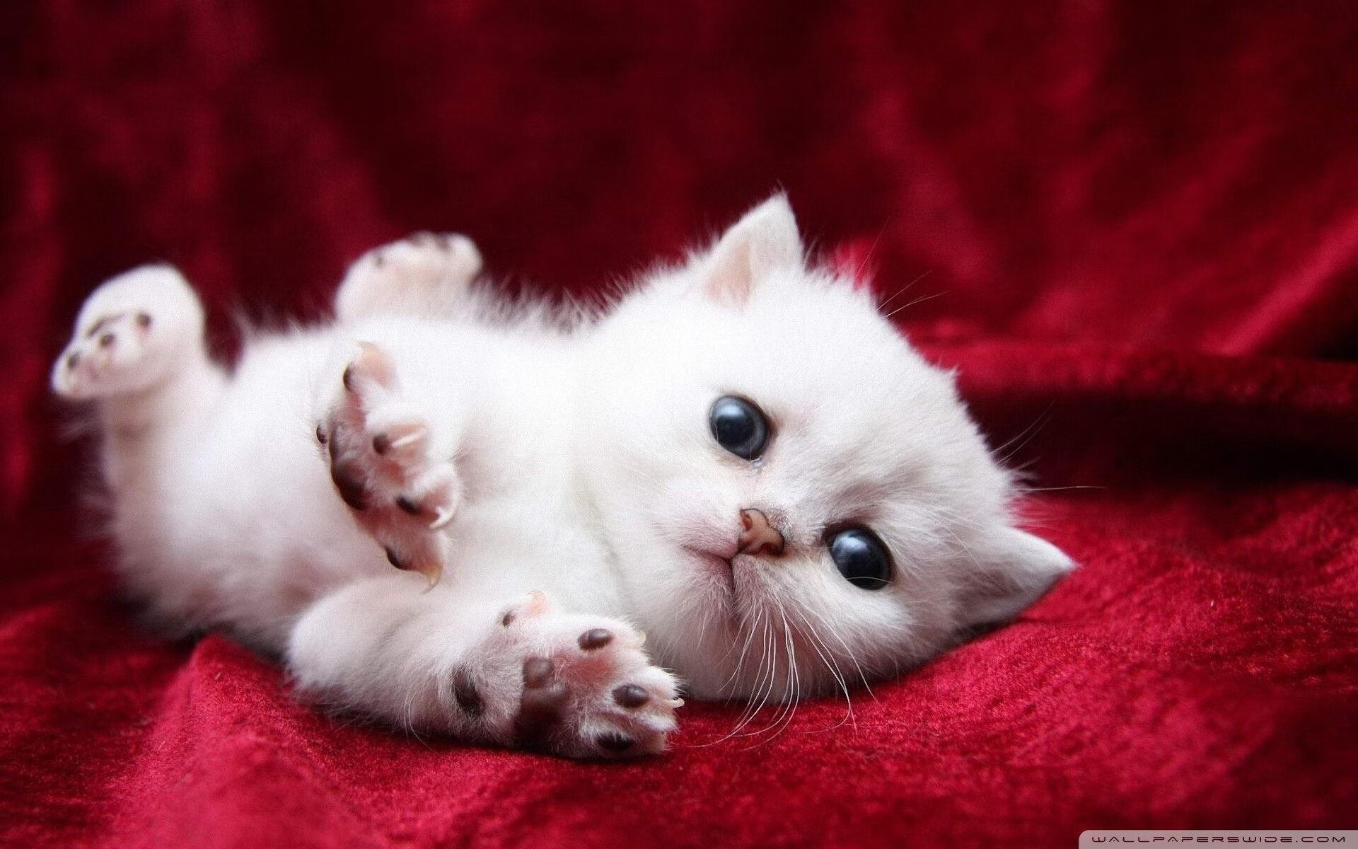 新兴足球强国崛起，亚洲竞争格局不断变化，亚洲足球现状