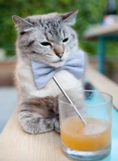 开云网页版-跳水表现出色突尼斯拿下高分，跳水史最尴尬0分